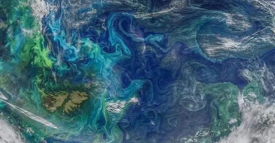 海洋微生物與自動(dòng)化——探索深海領(lǐng)域的另一種可能