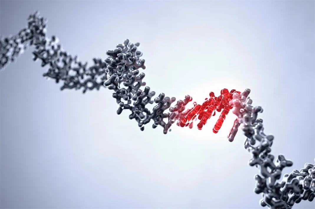 高通量自動化菌落平臺—合成生物學的創(chuàng)新利器