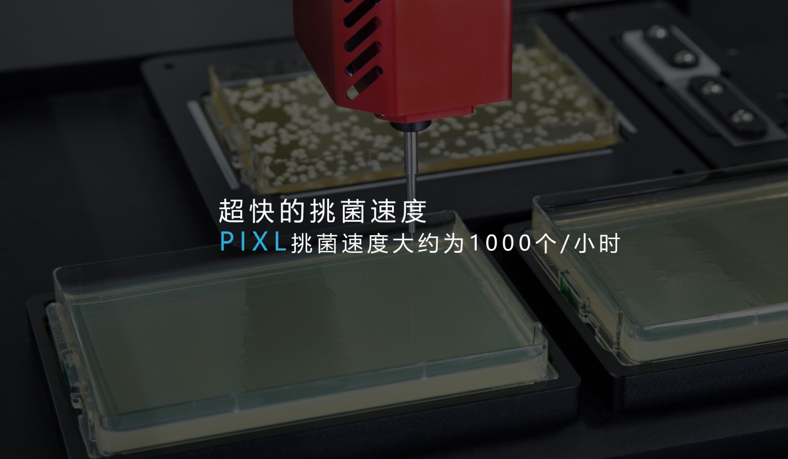 P2.jpg