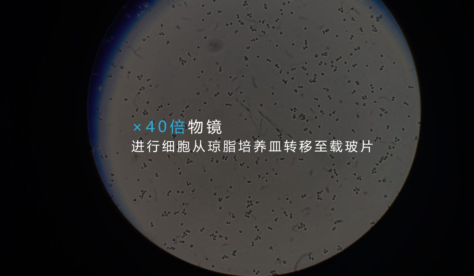 M3.jpg